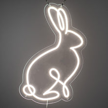 Load image into Gallery viewer, Bunny Rabbit
